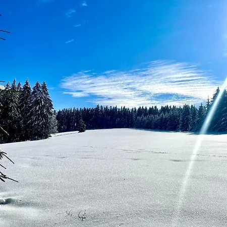 Hotel Zdobnice *